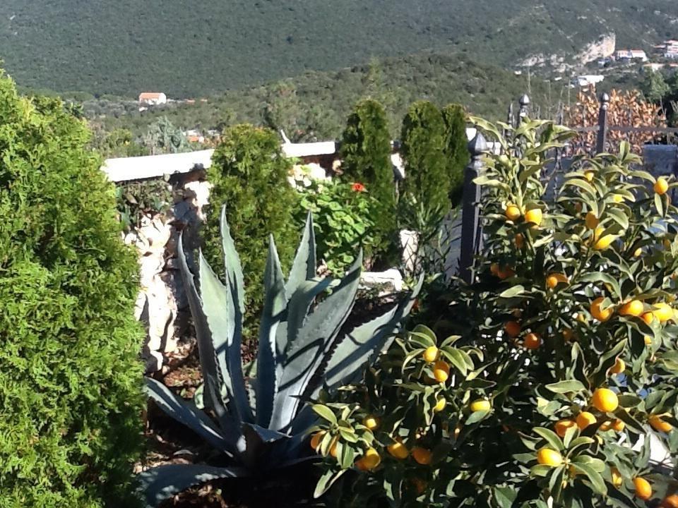 Villa Mirista ลุชทิตซา ห้อง รูปภาพ